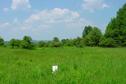 #3: Looking South at the confluence