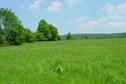 #4: Looking West at the confluence