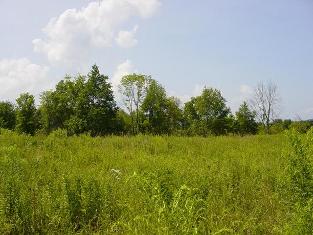 Looking West from the Confluence point