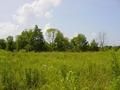 #5: Looking West from the Confluence point