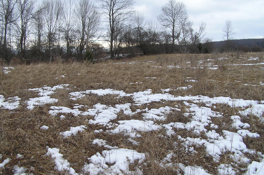 Confluence of 43 North 75 West, in the foreground, looking northeast.