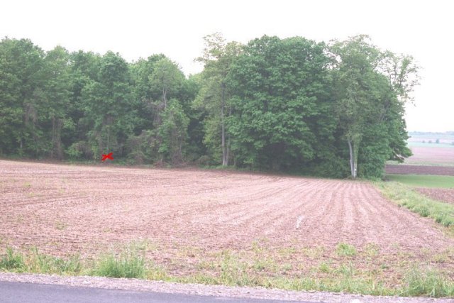 Looking west from road into wood lot. Confluence is about 150 ft behind red X.