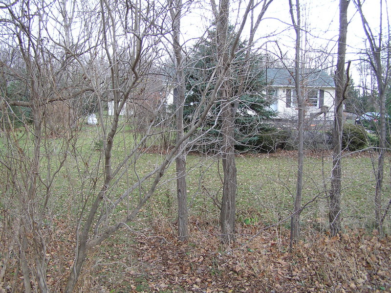 View to the east from the confluence