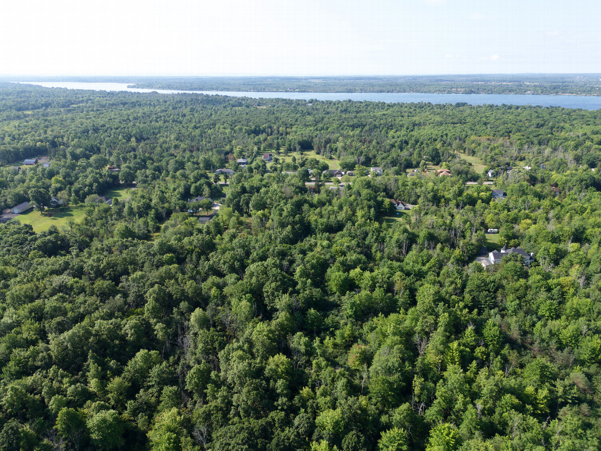 View South, from 120m above the point