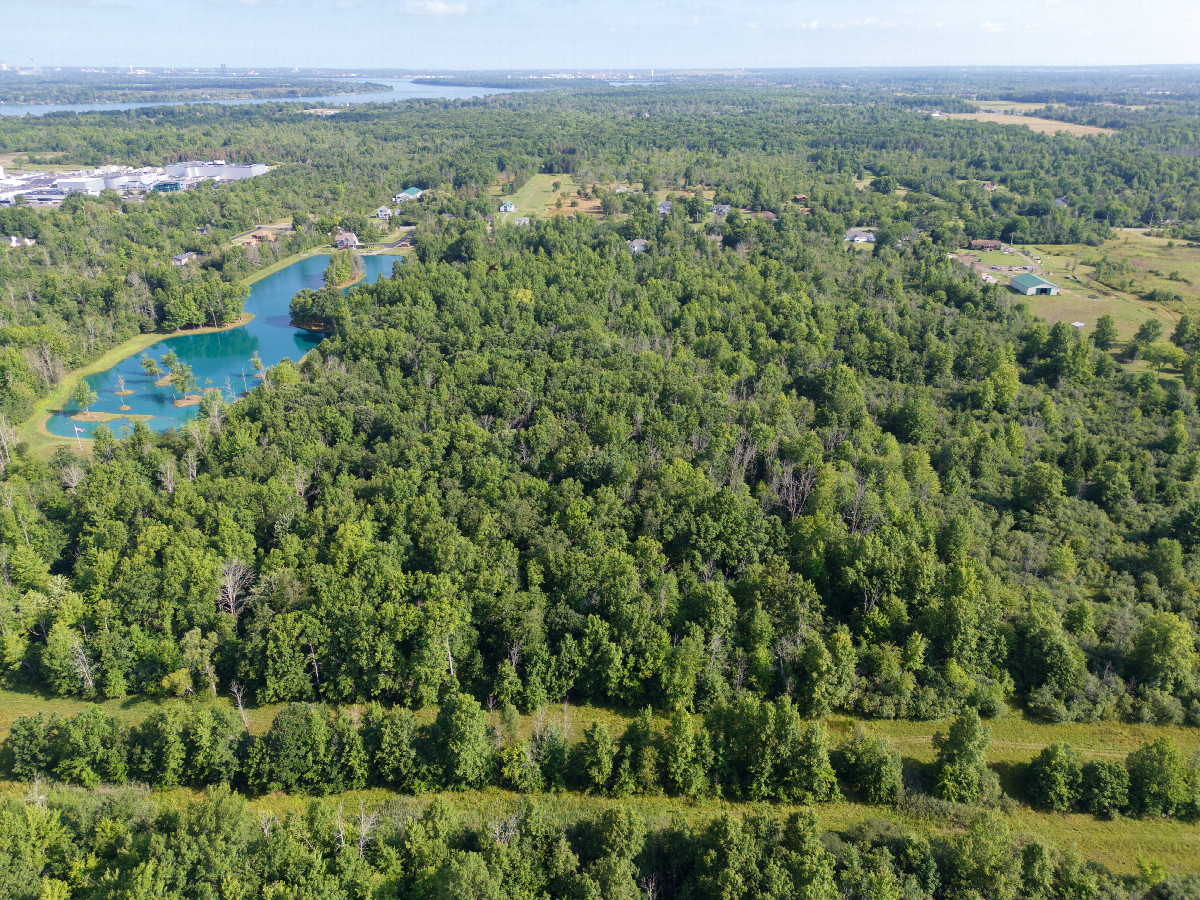 View North, from 120m above the point