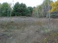 #3: Confluence Area View #2 - note the exposed rock face on the ground