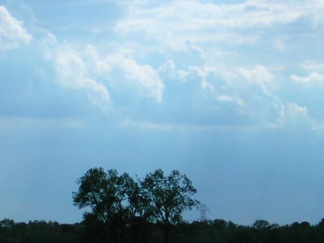 Trees and clouds...must not be Southern California!