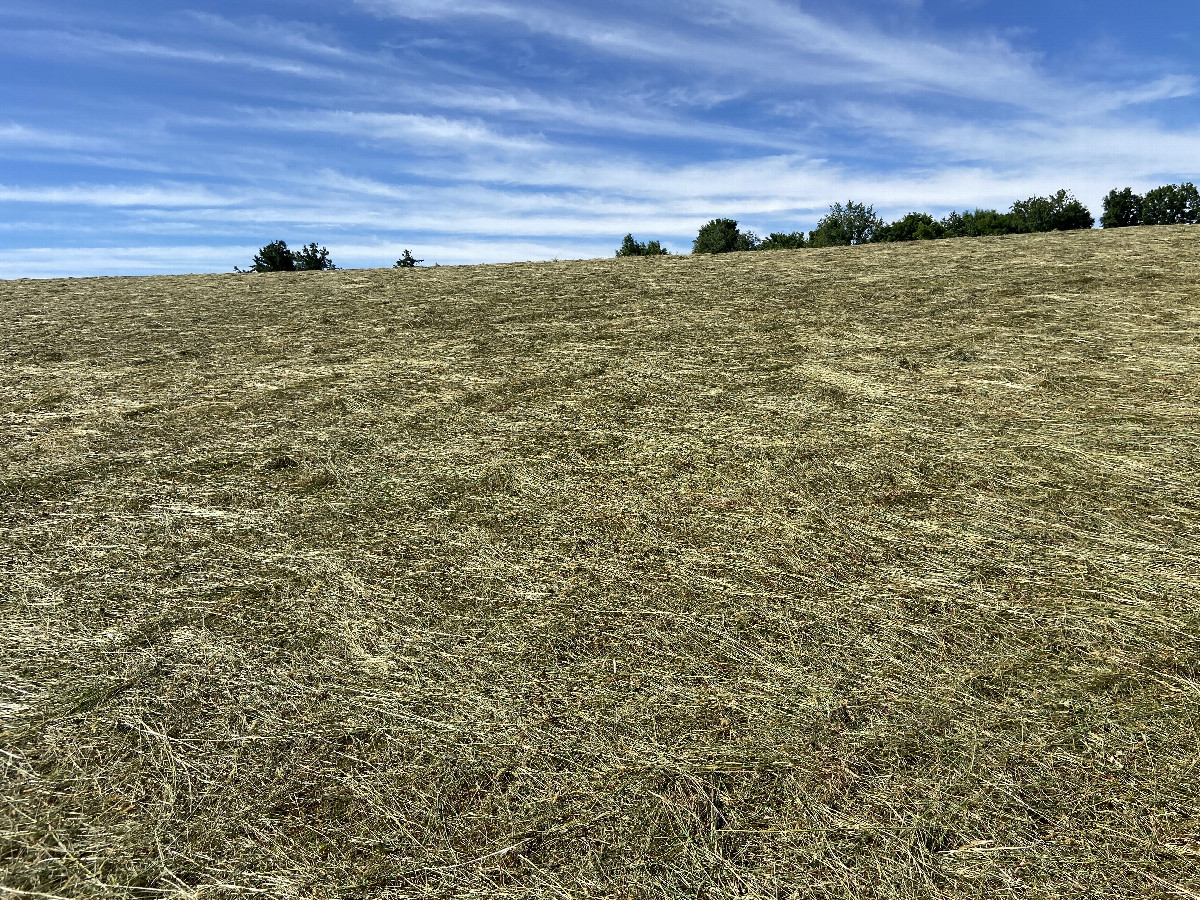 View to the south from the confluence point.