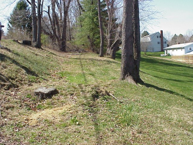 The utility pole easement, site of the 40N 82W confluence.