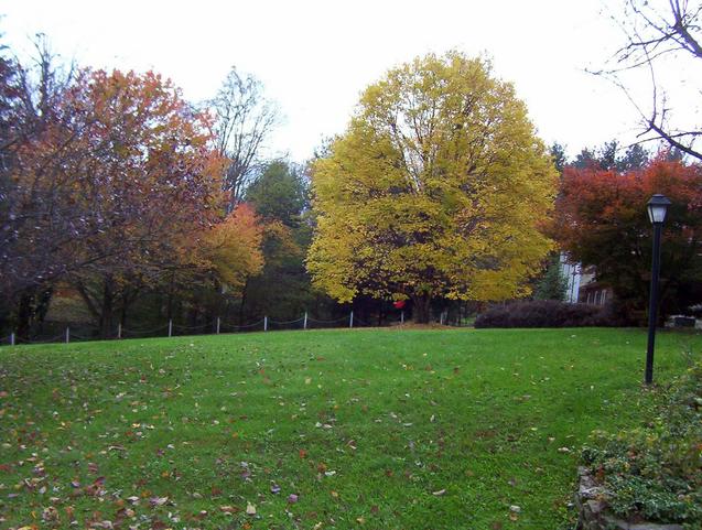 Looking south across the front lawn of 201 Skyline Dr.