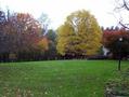 #4: Looking south across the front lawn of 201 Skyline Dr.