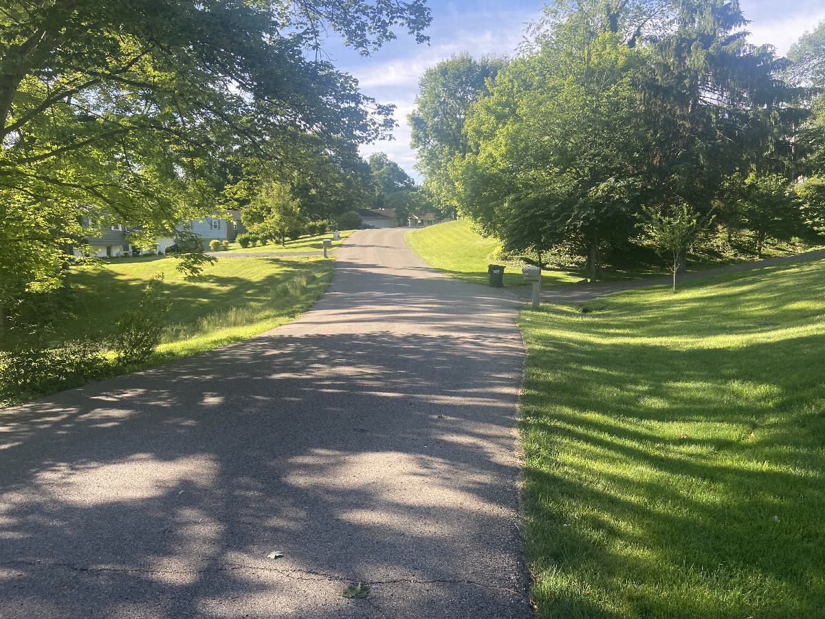 Nearest road to the confluence, looking south.