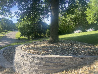 #4: View to the south from the confluence.