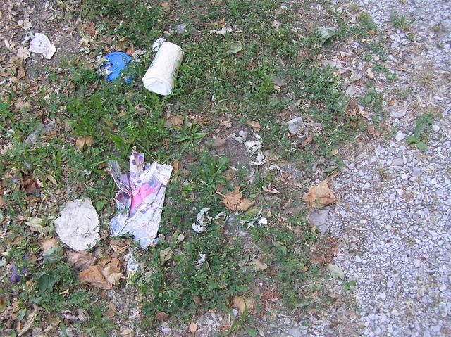 Ground cover at confluence--grass, stones, pavement, and trash.