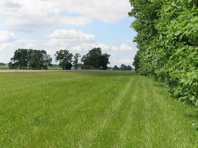 Looking north from the confluence site.