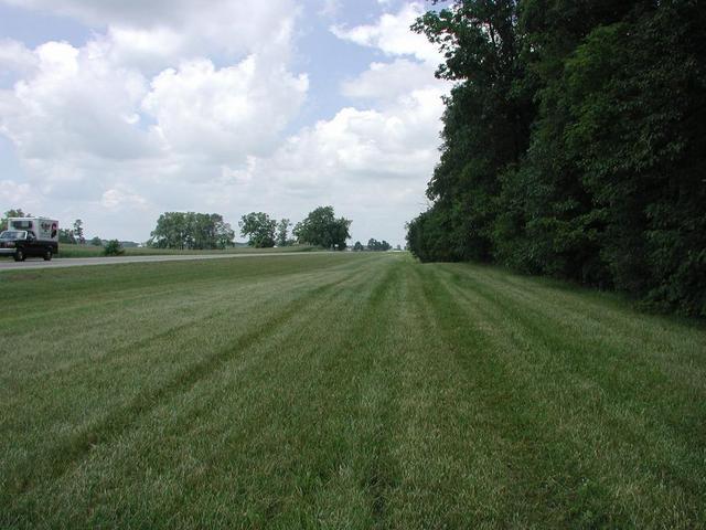 View North from near the confluence point.