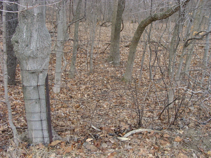 A good spot to cross the fence, with 40N 84W barely visible in the distance