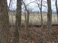 #5: Looking west back through the fence to Highway 235