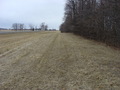 #8: Looking north along the shoulder of Highway 235