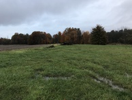 #5: View to the north from the confluence.