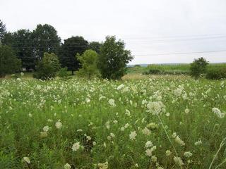 #1: View North towards Willow Road.