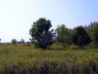 #1: This is looking south towards the confluence which is 172 feet away