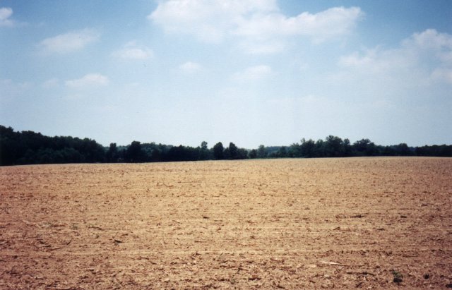 Looking North across the plowed field