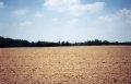 #2: Looking North across the plowed field