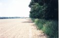 #3: Looking East toward the farm road