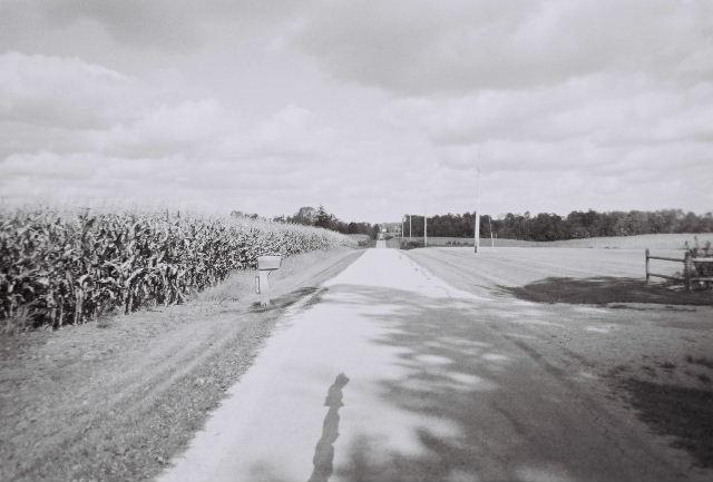 Road, 400 m from the confluence