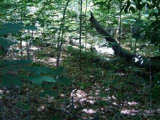 #1: View of the confluence point.