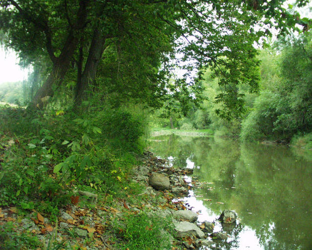 looking north from the confluence point