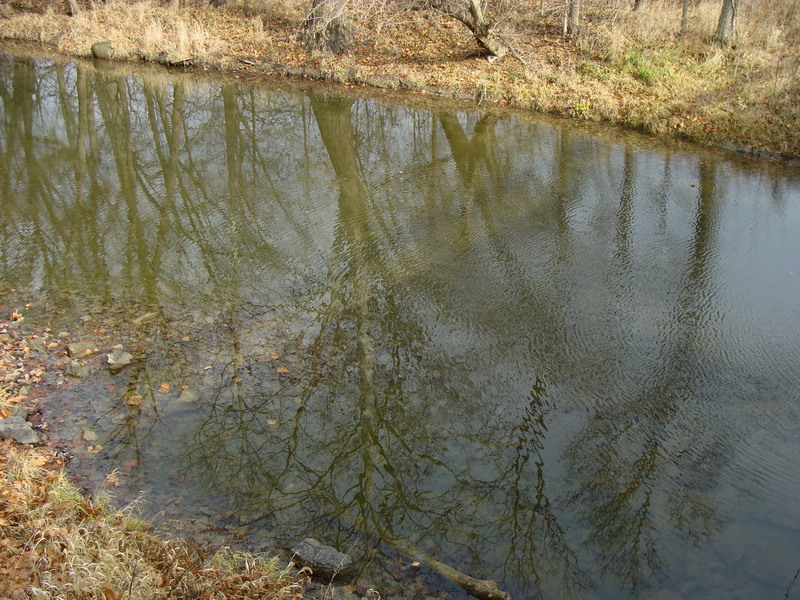 41N 84W, as seen in the shadow of the Riley Creek bridge.