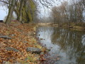 #2: Looking north, downstream toward Dutch Run, creekside at 41N 84W.