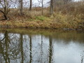 #3: Looking to the east bank of Riley Creek from 41N 84W.