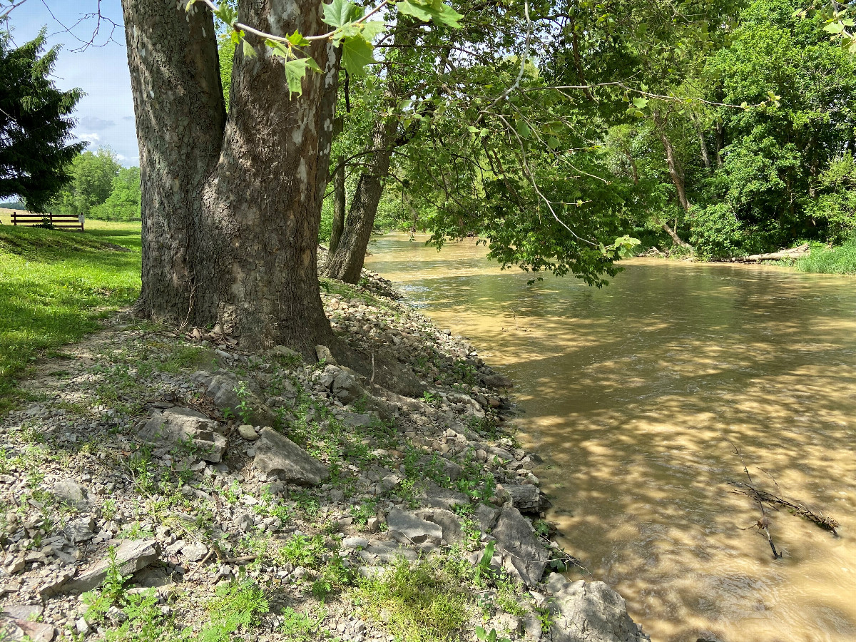 View to the north from the confluence point.