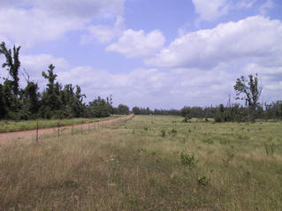 #1: View north from the confluence at 34 N 95 W