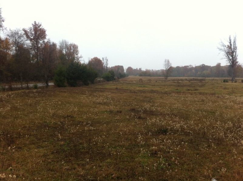 View of the confluence of 34 North 95 West, in the center foreground, looking north.