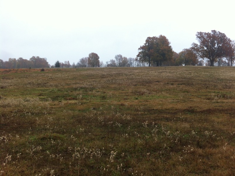 View to the east from the confluence.