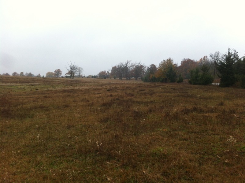 View to the south from the confluence.