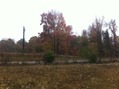 #7: View to the west from the confluence point.