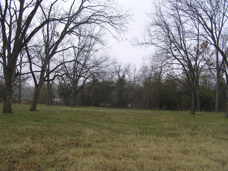 View to the east from the confluence.