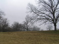 #6: View to the south from the confluence.