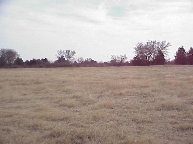 View to the south from the confluence.