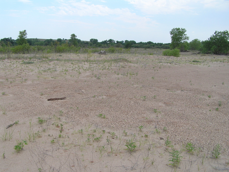 View to the south from the confluence point.