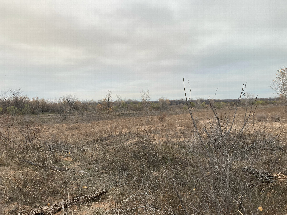 Looking north from the confluence, toward the Red River