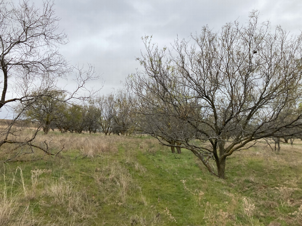 View along the start of our walk