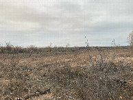 #2: Looking north from the confluence, toward the Red River