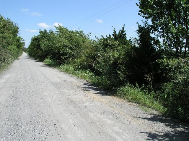 35N 96W and vicinity, looking east