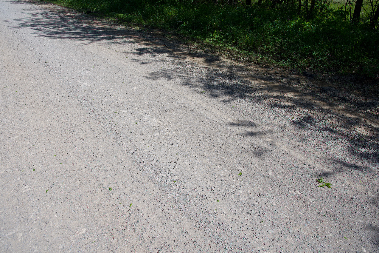 Ground cover (a gravel road) at the confluence point